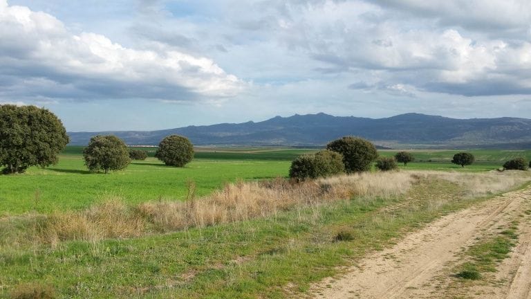 Camino entre prados en el Valle Amblés