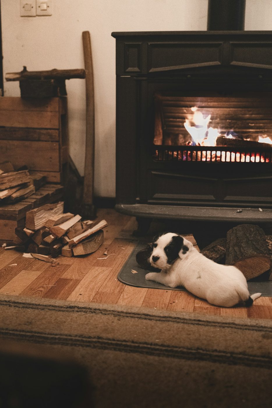 Cachorro tumbado frente a la chimenea encendida