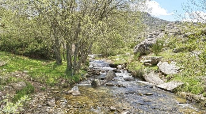 Escapada rural en Ávila